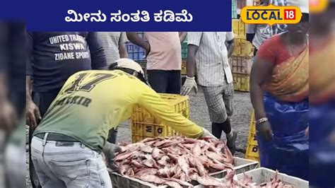 Fishing: ಕರಾವಳಿಯಲ್ಲಿ ಮತ್ಸ್ಯಕ್ಷಾಮದ ಭೀತಿ, ಮೀನುಗಳು ಕಡಿಮೆ ಆಗಿದ್ದಕ್ಕೆ ಇದೇ ...