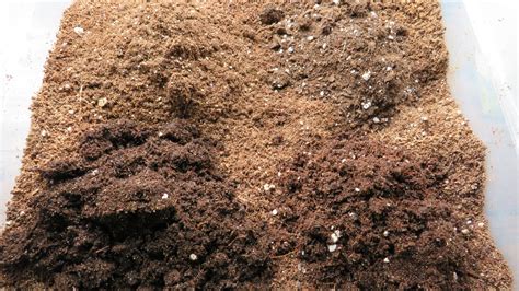 4 DIY Seed Starting Mix Recipes for Any Garden Plant - The Rusted Garden