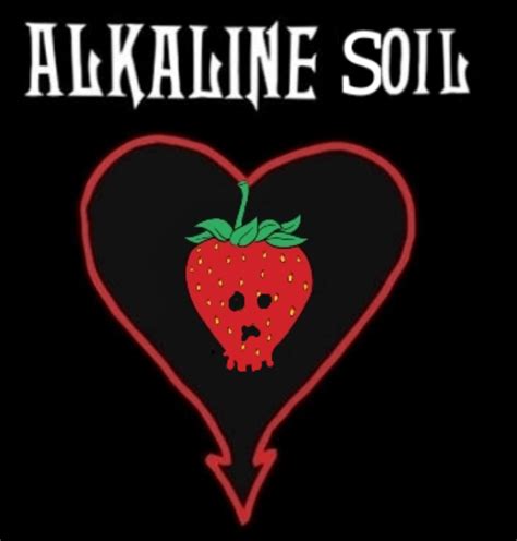 Strawberries like acidic soil ☠ : r/AlkalineTrio