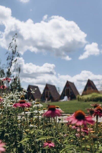 Загородный комплекс Farm&Village 4* - село Чертовицы, Воронежская ...