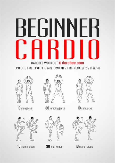 Exercise for Beginners 的图像结果