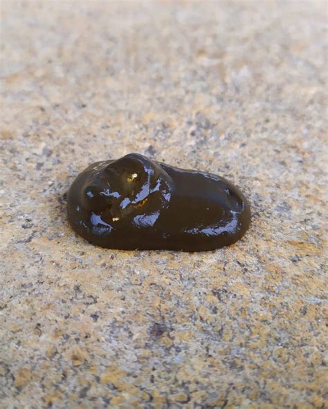 Image result for Normal Chicken Poop