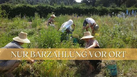Qi Gong und Meditation -Eine Woche des Rückzugs im Kloster ...