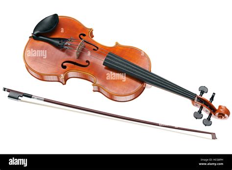 Image result for Viola String Instrument