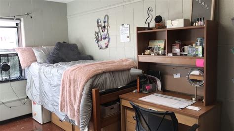 Image result for Springfield IL College Life