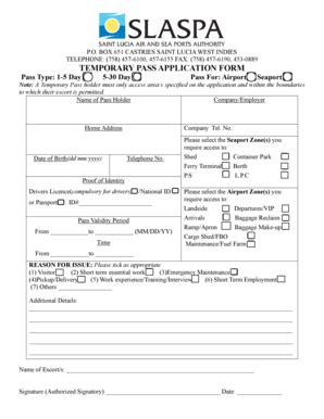 Temporary Pass Application Form - Blank Fillable Template | Fill Out ...