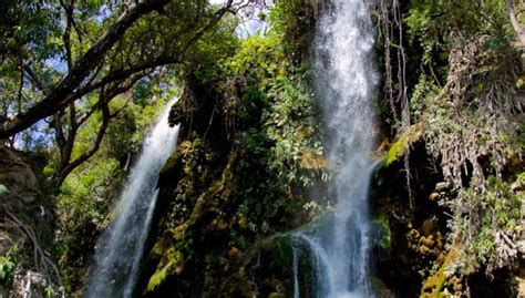 Excursión a Salto de Agua y Artibonite, Puerto Príncipe - Central de ...