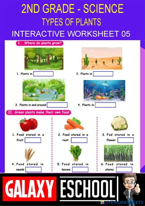 Image result for Class 2 Science Plant