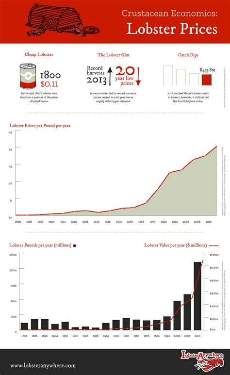 Lobster Prices Per Pound 2025 – Maine Lobster Cost Guide