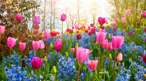 Image result for Spring Makeup Tutorial
