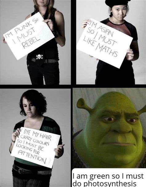 Image result for Shrek Script Memes