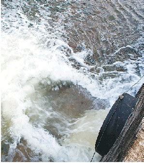 “五水共治”措施对义乌江流域水污染负荷削减的定量分析
