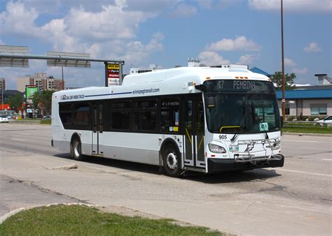 History of Bus 905 | WTLive