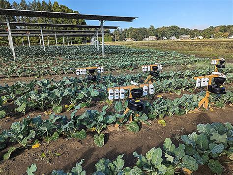 Amazing Farming Tools 的图像结果