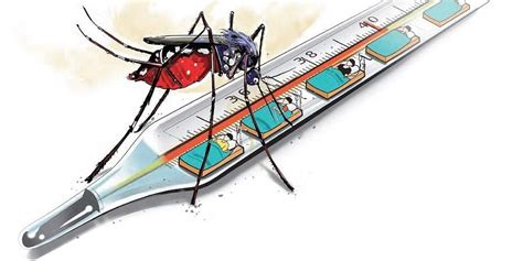 Rise in dengue cases: Local bodies told to take preventive steps | Gohash