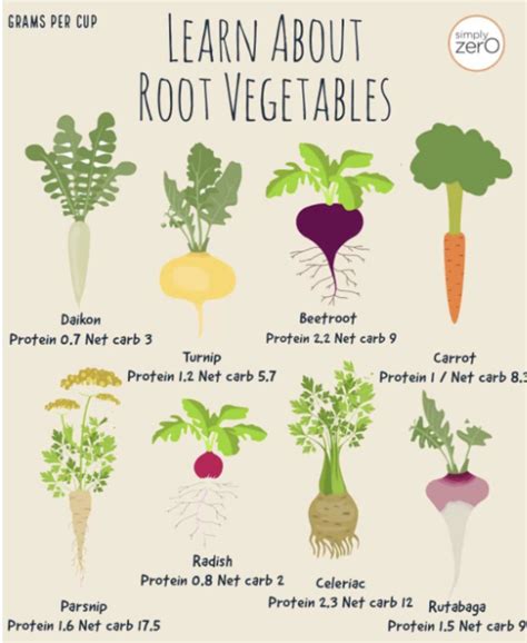 Pin by Mellissa Davidson on Veggies in 2025 | Root vegetables, List of ...