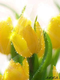 Image result for Tulips Flower Using Python