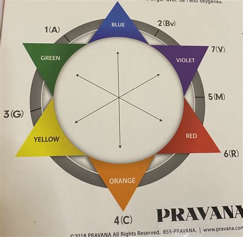 Image result for Color Wheel Lesson Tutorial Hair