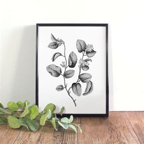 Mayflower Botanical Print, Massachusetts State Flower Art (digital ...
