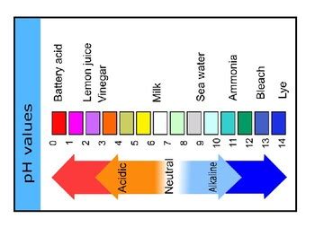 pH Values Chart by Steven's Social Studies | TPT