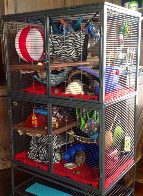 50 Pet rat cage ideas | rat cage, pet rat cages, pet rats
