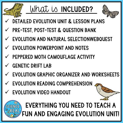 Image result for Freesciencelessons Evolution