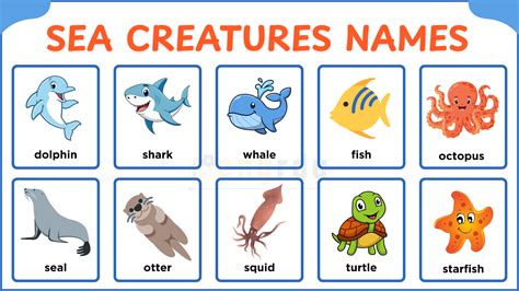 Sea Creatures Names for Kids in English with Pictures - Engrdu