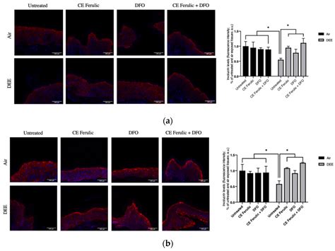 Deferoxamine Treatment Improves Antioxidant Cosmeceutical Formulation ...