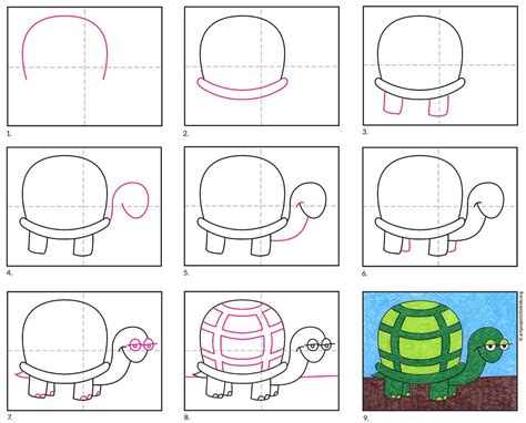 Image result for Turtle Tutorial