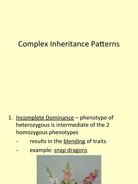 Image result for Complex Inheritance Pattern