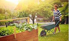 Hochbeet Befuellen Diese Schichten Steigern Den Ernte hochbeet bef 252 llen diese schichten steigern den ernte Hochbeet Befuellen Diese Schichten Steigern Den Ernte hochbeet bef 252 llen diese schichten steigern den ernte