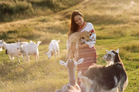 Basic Components of the Environment 的图像结果