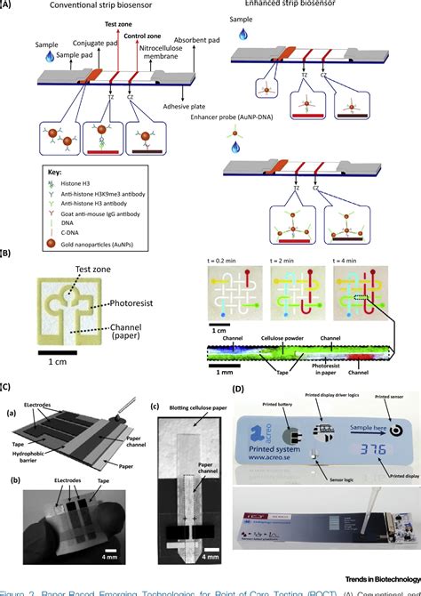 Image result for Point of Care Testing Governance Flowchart