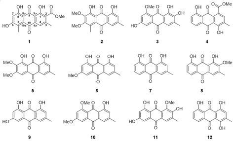 Four New Anthraquinones with Histone Deacetylase Inhibitory Activity ...