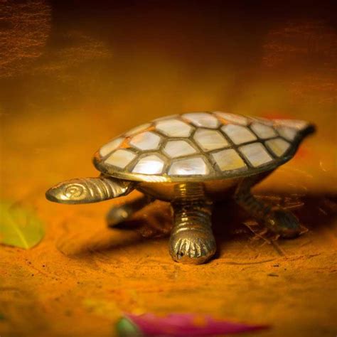 What are the benefits of keeping a Feng Shui Tortoise in your home?