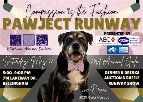 Home | Whatcom Humane Society