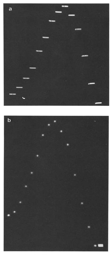 Image result for Linear Photodiode Array