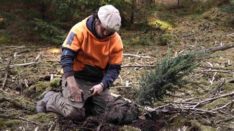 La Nature 的图像结果