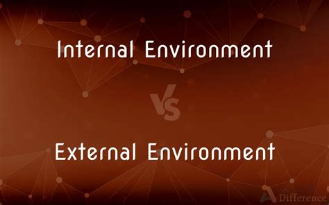 Image result for What Is External Environment
