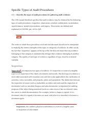 Image result for Audit Procedures PDF