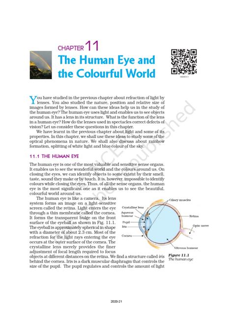 Class 10 Science Chapter 11 Topic Eyes 的图像结果