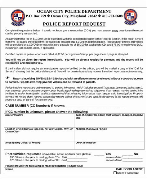 Image result for Sample Police Report Example