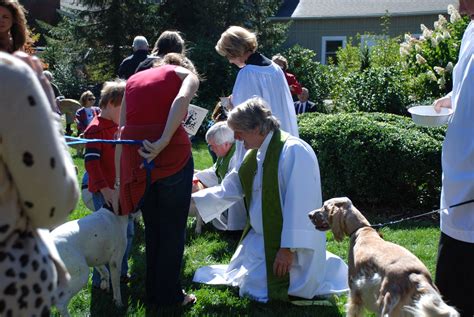 Blessing of the Animals, Cashiers, North Carolina | Softly and tenderly ...