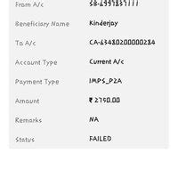 Indian Bank — NEFT failed transactions