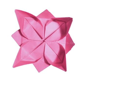 Image result for Origami Lotus Flower Variations