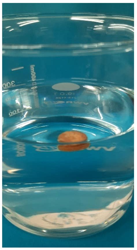 3D Printed Mini-Floating-Polypill for Parkinson’s Disease: Combination ...
