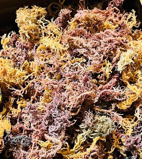 Earthly Temptation Wellness