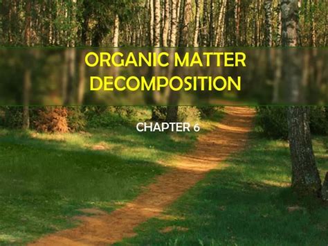 Image result for Decomposition Explained