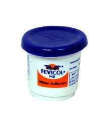 FEVICOL MR 12 GRAM PACK OF 40 PCS : Amazon.in: Office Products