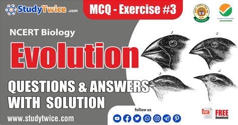 Evolution Class 12 for NEET 的图像结果